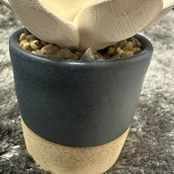 Demdaco Succulent 3 x 5 Stoneware Decorative Tabletop Oil Diffuser - Picture 8 of 11